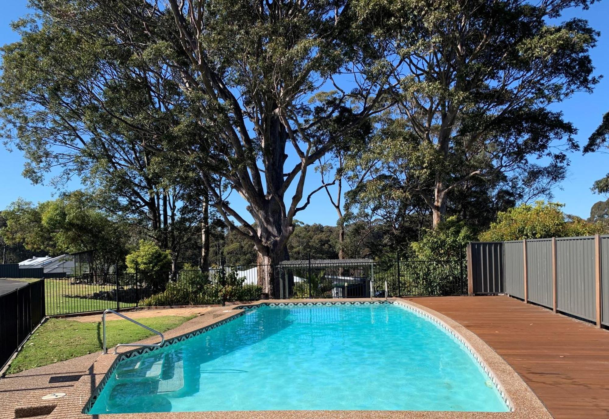 The Tree Motel Narooma Bagian luar foto