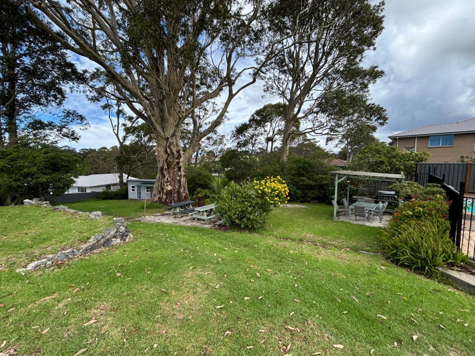 The Tree Motel Narooma Bagian luar foto